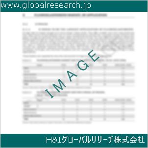 グローバルリサーチ調査資料のイメージ